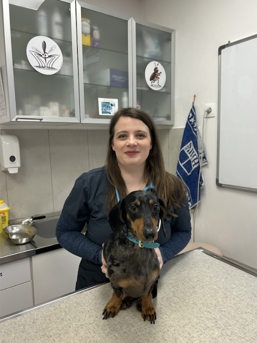 Équipe vétérinaire à Nice - Clinique du Col